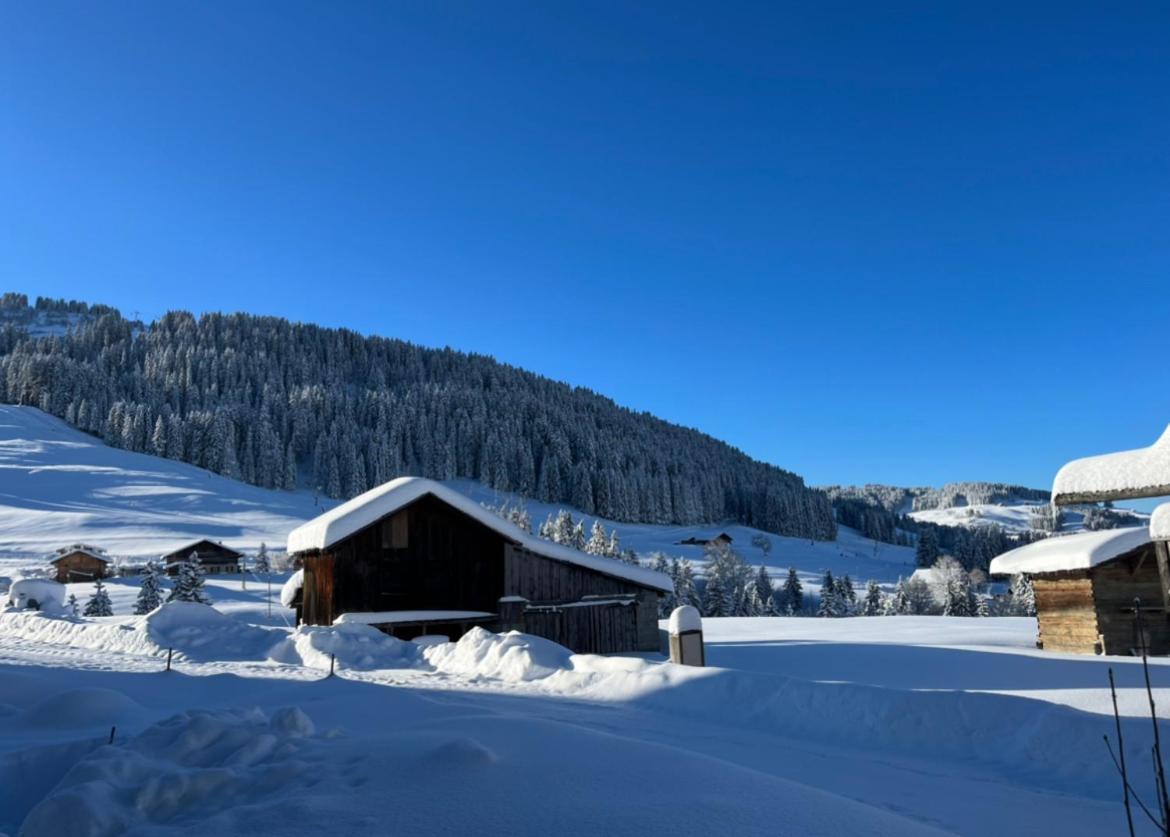 Le Chalet Du Cret - 8 Pers, Tout Confort Avec Jacuzzi Notre-Dame-de-Bellecombe Bagian luar foto